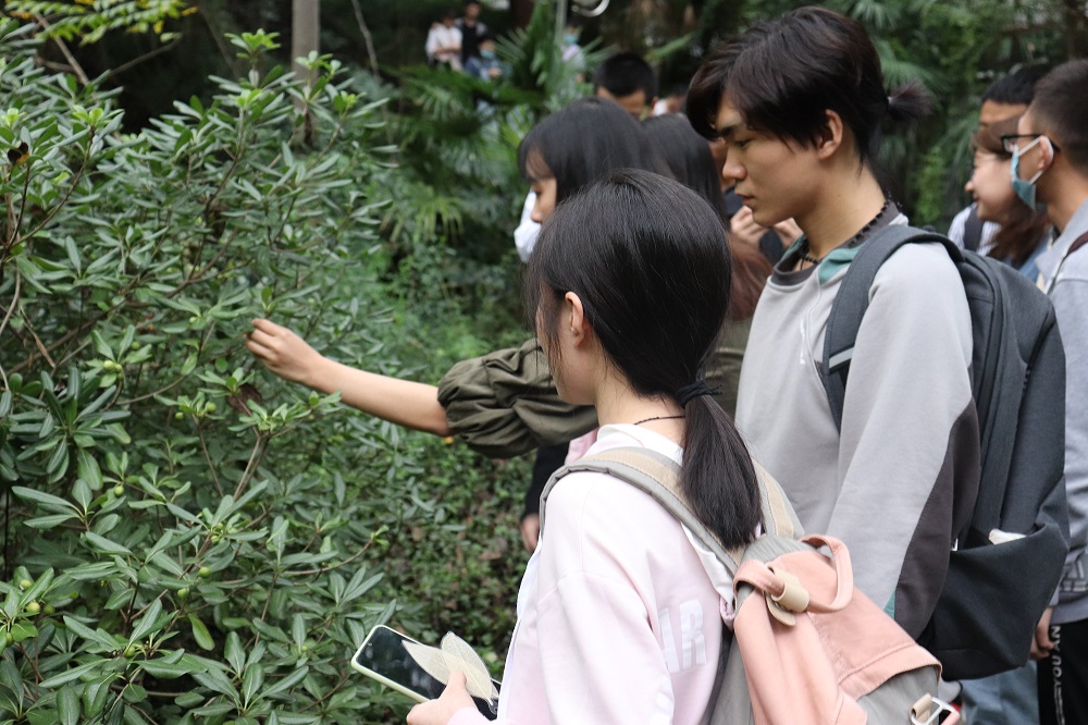 2图二:校园植物鉴赏.jpg